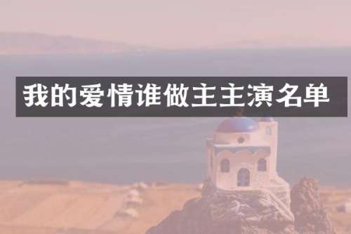 我的爱情谁做主主演名单
