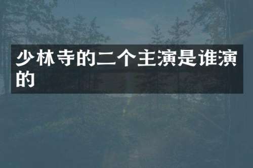 少林寺的二个主演是谁演的