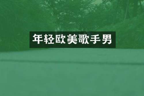 年轻欧美歌手男