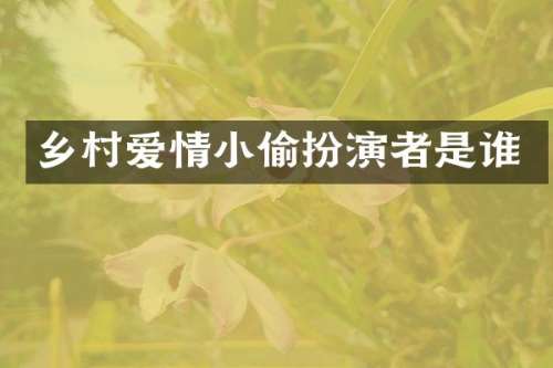 乡村爱情小偷扮演者是谁