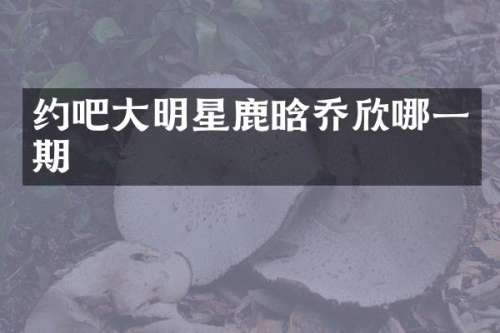 约吧大明星鹿晗乔欣哪一期