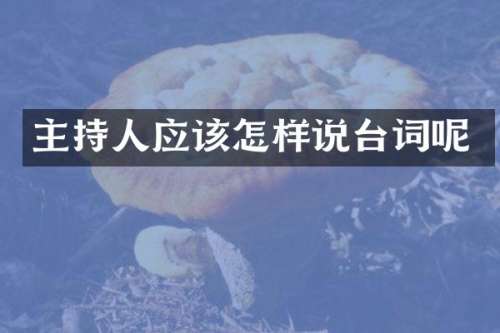 主持人应该怎样说台词呢