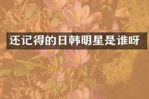 还记得的日韩明星是谁呀