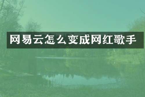 网易云怎么变成网红歌手
