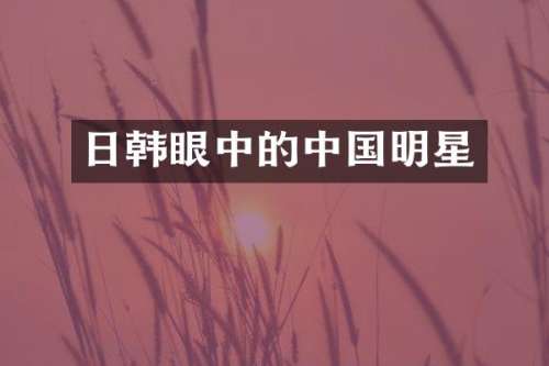 日韩眼中的中国明星