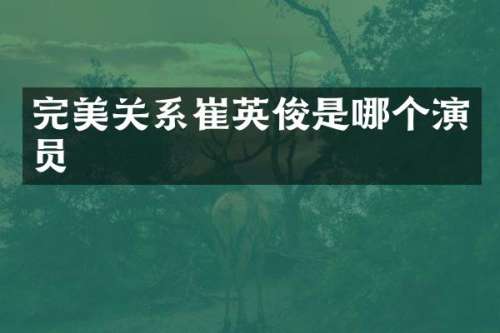 完美关系崔英俊是哪个演员