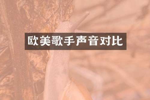 欧美歌手声音对比