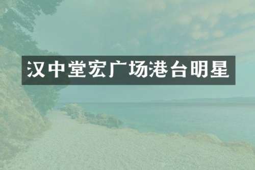 汉中堂宏广场港台明星