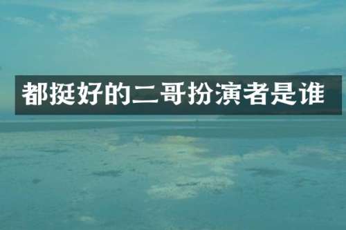 都挺好的二哥扮演者是谁