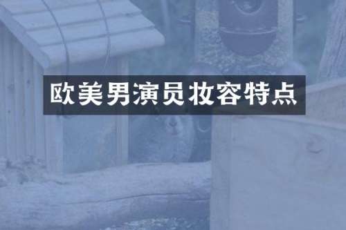 欧美男演员妆容特点