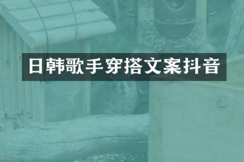 日韩歌手穿搭文案抖音
