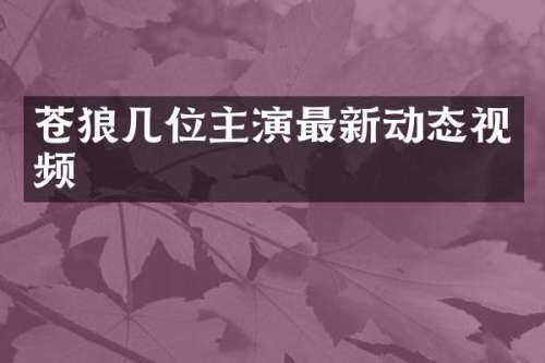 苍狼几位主演最新动态视频