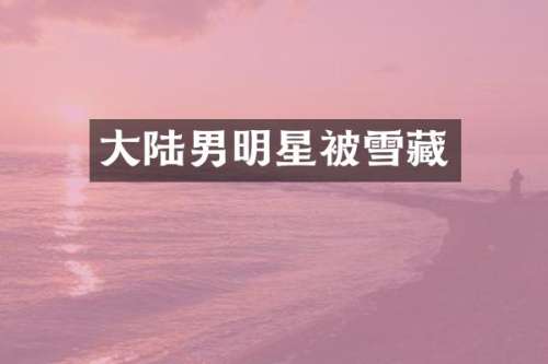 大陆男明星被雪藏