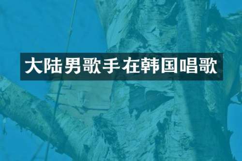 大陆男歌手在韩国唱歌