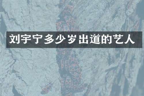 刘宇宁出道的艺人