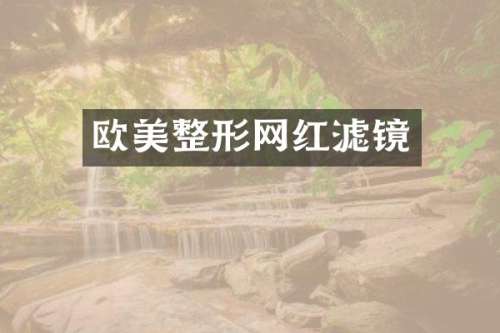 欧美整形网红滤镜