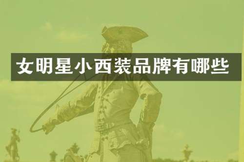 女明星小西装品牌有哪些