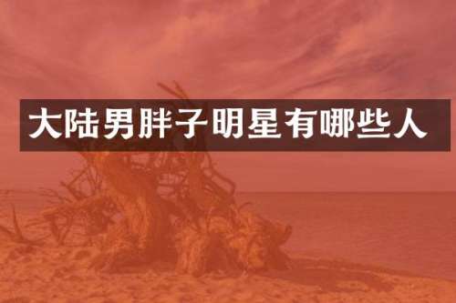 大陆男胖子明星有哪些人