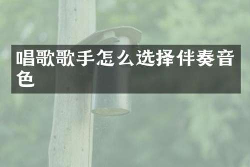 唱歌歌手怎么选择伴奏音色