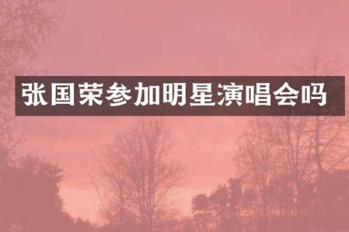 张国荣参加明星演唱会吗