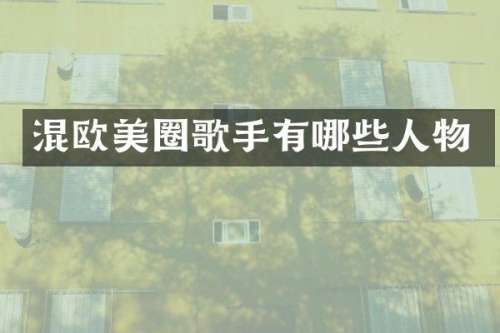混欧美圈歌手有哪些人物
