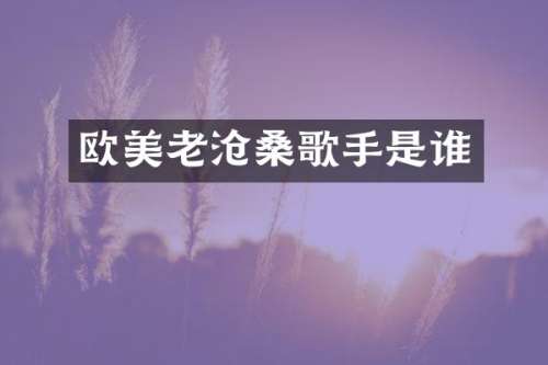 欧美老沧桑歌手是谁