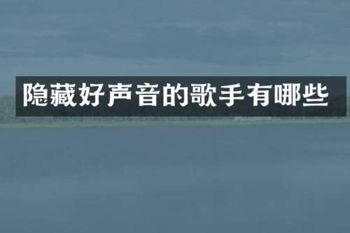 隐藏好声音的歌手有哪些