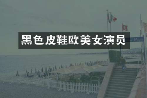 黑色皮鞋欧演员
