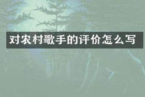 对农村歌手的评价怎么写
