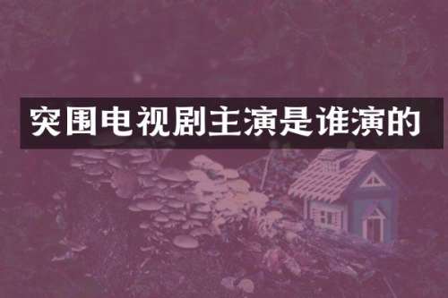 突围电视剧主演是谁演的