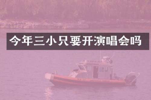 今年三小只要开演唱会吗