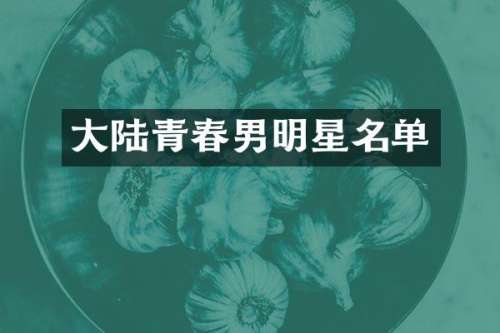 大陆青春男明星名单