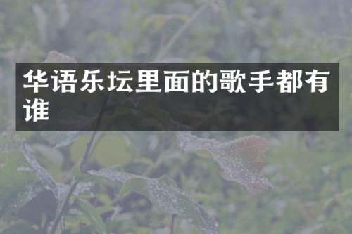 华语乐坛里面的歌手都有谁