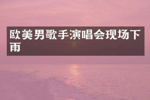 欧美男歌手演唱会现场下雨