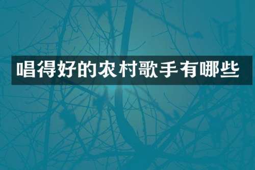 唱得好的农村歌手有哪些
