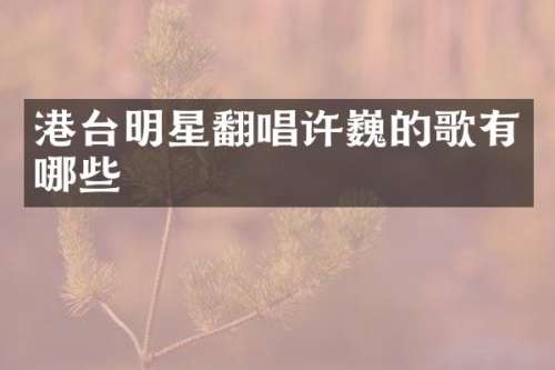 港台明星翻唱许巍的歌有哪些