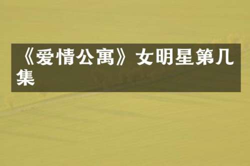 《爱情公寓》女明星第几集