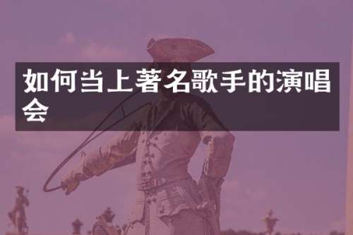 如何当上著名歌手的演唱会