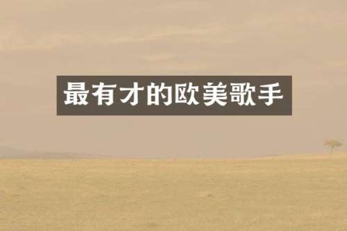 最有才的欧美歌手
