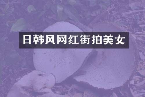 日韩风网红街拍