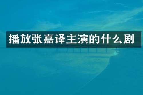 播放张嘉译主演的什么剧