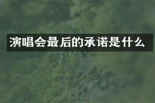 演唱会最后的承诺是什么