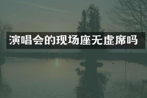 演唱会的现场座无虚席吗
