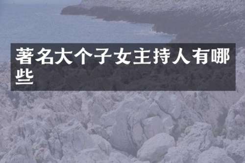 著名大个子女主持人有哪些