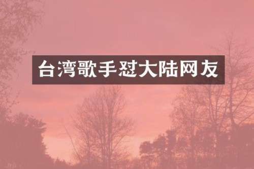 台湾歌手怼大陆网友