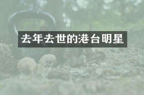 去年去世的港台明星
