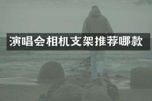 演唱会相机支架推荐哪款