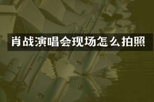 肖战演唱会现场怎么拍照