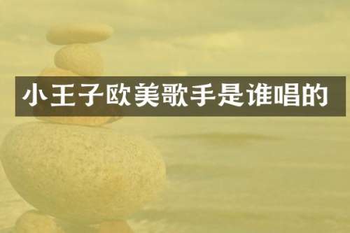 小王子欧美歌手是谁唱的