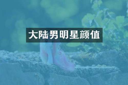 大陆男明星颜值